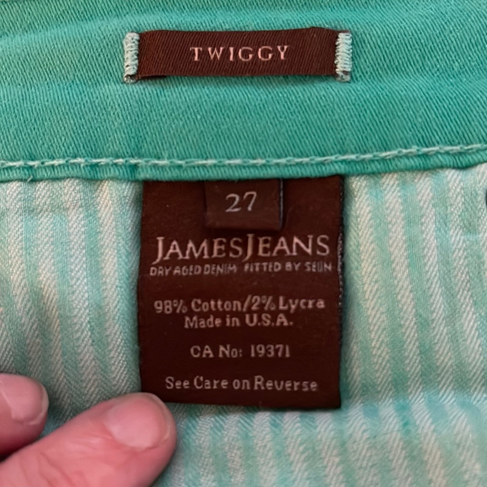 James Jeans, Style: Twiggy, Size: 27, Color: Peppermint